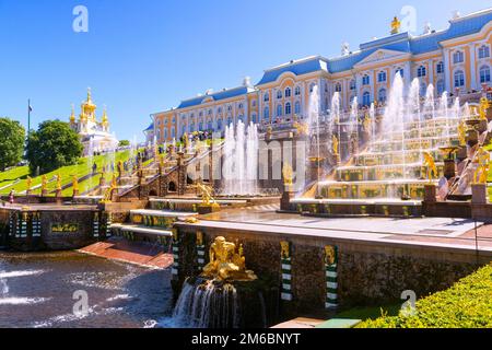 Brunnen im Schloss Peterhof in der Nähe von St. Petersburg, Russland. Schloss Peterhof ist eine berühmte Touristenattraktion. Thema von Trav Stockfoto