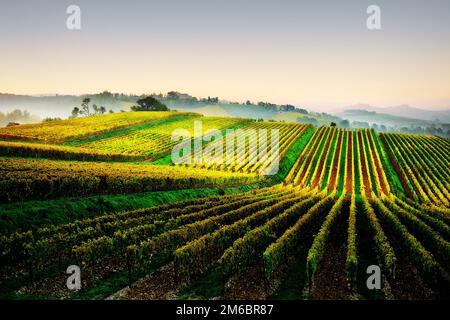 Chianti-Weinlandschaft in der Nähe von Lilliano, Toskana, Italien Stockfoto