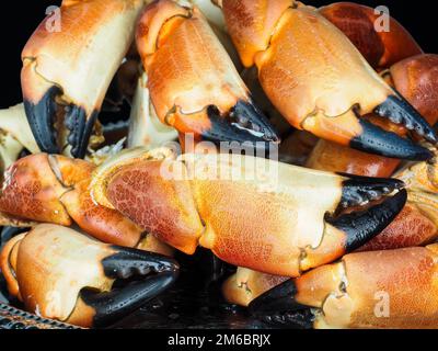 Ein Haufen orangefarbener Krabbenkrallen Stockfoto