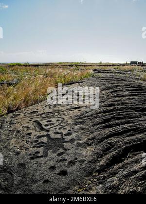 Alte Petroglyphen im Pu'U Loa im Volcanoes-Nationalpark auf Hawaii Big Island Stockfoto