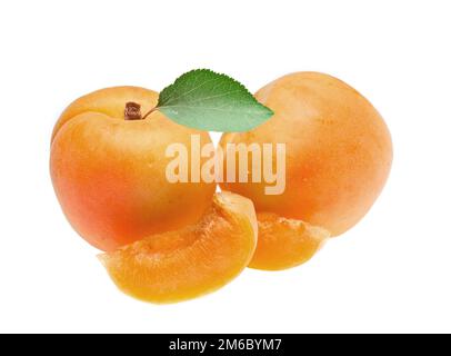 Frische Aprikosen Früchte auf weißem Hintergrund Stockfoto