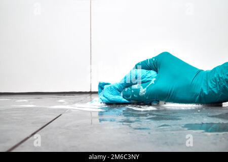 Männliche Hand mit einem blauen Lappen reinigen die Fliesen im Bad auf der Etage. Stockfoto