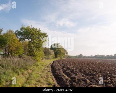 Ein gepflügtes Ackerland, das ausgesät und geerntet werden kann, und das außerhalb der üppigen Frühlingslandschaft beginnt Stockfoto