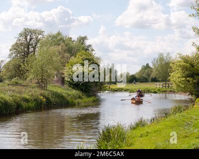 Leute, die Boote den Fluss stour entlang in dedham essex uk england im Constable Country rudern Stockfoto