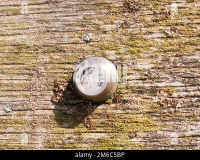 Nahaufnahme eines silbernen Metallbolzens und eines Texturhintergrundes aus Holz, genagelt und fixiert Stockfoto