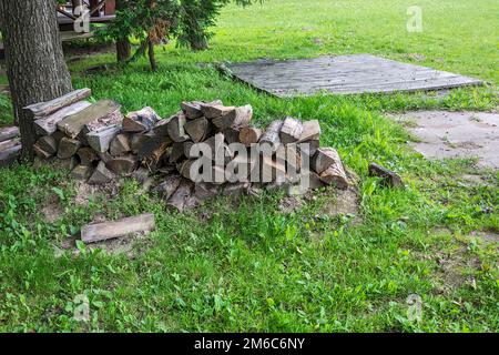 Gehacktes Brennholz auf Gras in der Nähe des Baumes Stockfoto