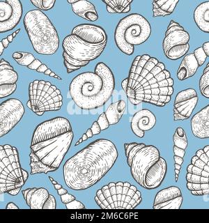 Seashell Collection – handgezeichnete Wasserskoole-Illustration. Skizzieren. Stockfoto