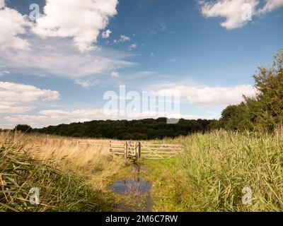 Eine Wiese mit Holzzaun und Tor, blauem Himmel und grünem Gras Stockfoto