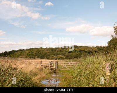 Eine Wiese mit Holzzaun und versperrtem Tor Stockfoto