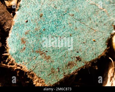 Nahaufnahme der alten rustikalen blauen Pappstruktur auf dem Boden abgenutzt Stockfoto