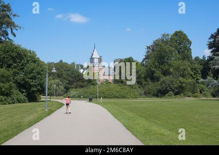 Landschaftspark, Sommer, Graswiesen. Das Mädchen fährt den Weg entlang. Stockfoto