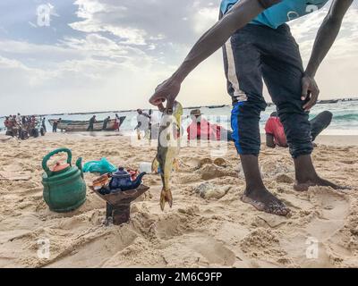 Mauretanien, Nouakchott, Fischermarkt Stockfoto