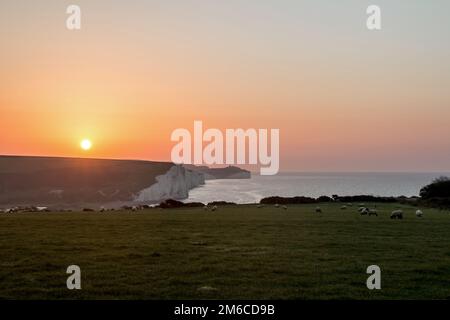 Sonnenaufgang über den Seven Sisters Chalk Cliffs in East Sussex. Stockfoto