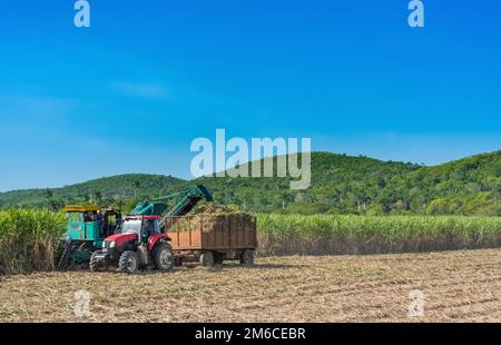 Zuckerrohr Ernte auf dem Feld mit einem Mähdrescher in Santa Clara in Kuba - Serie Kuba Reportage Stockfoto