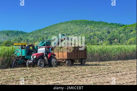 Zuckerrohr Ernte auf dem Feld mit einem Mähdrescher in Santa Clara in Kuba - Serie Kuba Reportage Stockfoto