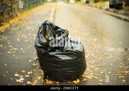 Müllsack am Straßenrand. Laubernte. Stockfoto