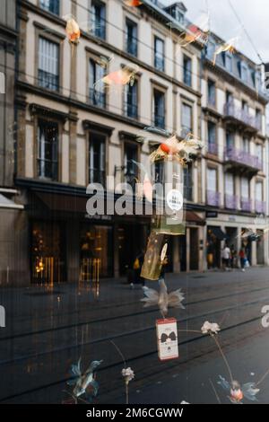 Straßburg, Frankreich - 9. September 2022: colibri Birds Holding Reck Cafe for nespresso Aluminum Pods - Blick in die Ausstellung des berühmten Geschäfts mit hohem Gebäude im Hintergrund Stockfoto