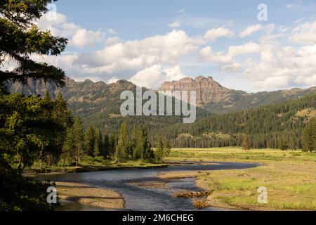 Der Lamer River Fließt Durch Den Valley Yellowstone-Nationalpark Stockfoto
