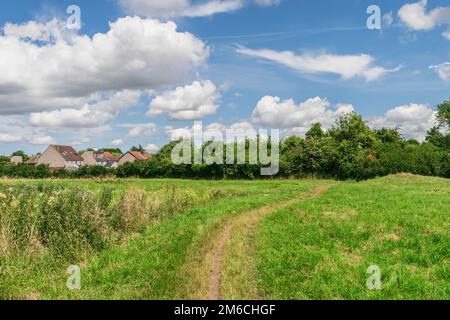 Britische Landschaft mit schönen Park Szene in öffentlichen Park mit grünem Gras Feld, grünen Bäumen und einer Partei bewölkt blauer Himmel Stockfoto