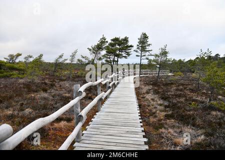 Das schwarze Moor im bayerischen Rhön Stockfoto