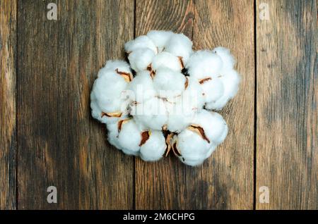 Gruppe Baumwoll-Pflanzenblumen auf braunem Holzhintergrund Stockfoto