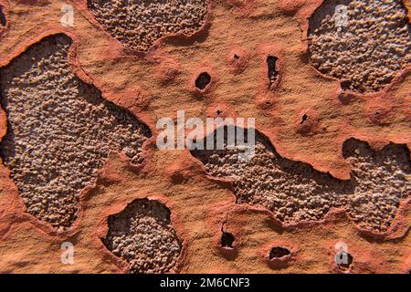 Orange abblätternde Farbe auf einem alten Betonwand. Stockfoto