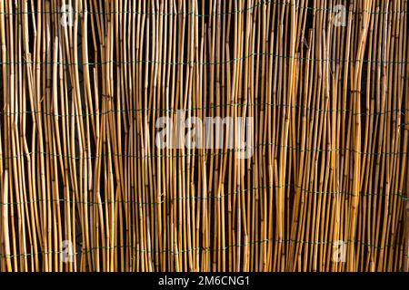 Bambus wand Textur. Stockfoto