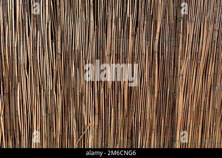 Textur einer Wand aus Bambus. Stockfoto