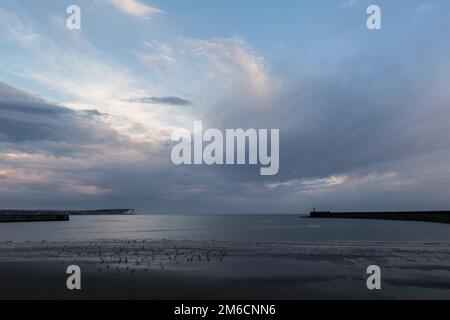 Seaford Head und Newhaven Lighthouse am Juli-Abend Stockfoto