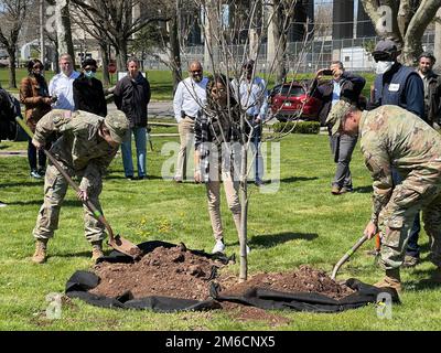 Von links hilft Kommandovorsteher Eva Commons, Kommandovorsteher Fort Hamilton und Garrison Commander Colonel Craig Martin, einen Baum vor dem Hauptquartier der Garnison zu Pflanzen, um den Tag der Erde in Fort Hamilton, N.Y., 22. April 2022 zu feiern. Die Armee feiert den Tag der Erde, um ihr Engagement für die Umweltverantwortung zu beleben und die Gesundheit der Land-, Luft- und Wasserressourcen zu fördern, die sowohl für gegenwärtige als auch zukünftige Armeemissionen von entscheidender Bedeutung sind. Klimastrategie der Armee, Tag der Erde, Umwelt, Baumpflanzung, Stockfoto
