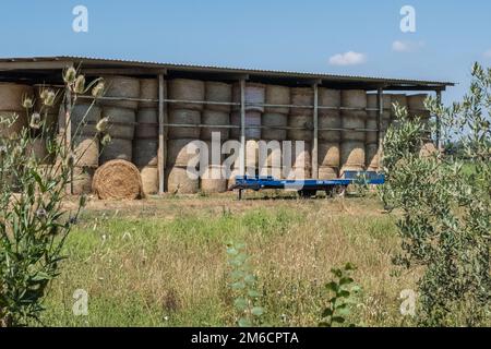 Lager für trockene gelbe Strohballen Stockfoto