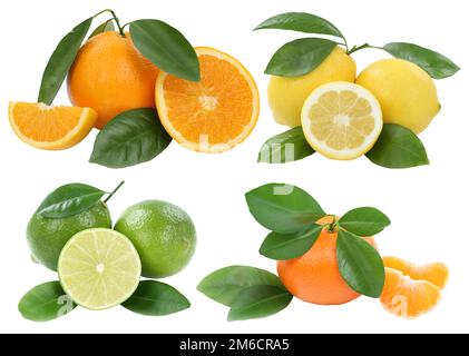 Collage Orangen Zitronen Mandarin Früchte isoliert Isolierte Mandarin Stockfoto