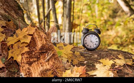 Vintage schwarz Wecker auf Blätter im Herbst. Zeit ändern abstrakten Foto. Stockfoto