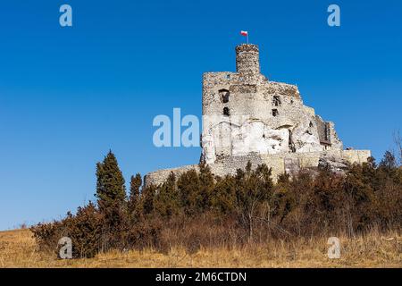 Burgruinen in Mirow aus dem 19. Jahrhundert (Polen) Stockfoto