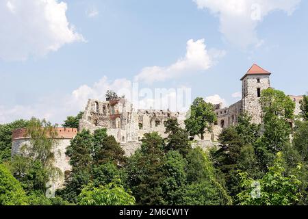 Ruinen von Schloss Tenczyn in Rudno bei Krzeszowice (Polen) Stockfoto