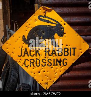 Jack Rabbit Crossing Sign Shot Voller Löcher Stockfoto