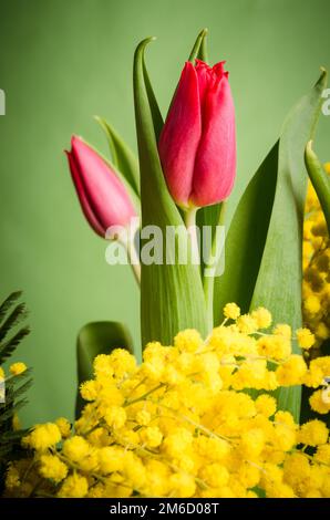 Spring Bouquet mit Tulip und Mimosa Stockfoto