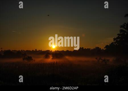 Sonnenaufgang über den Nebengewässern in Kerala, Indien Stockfoto