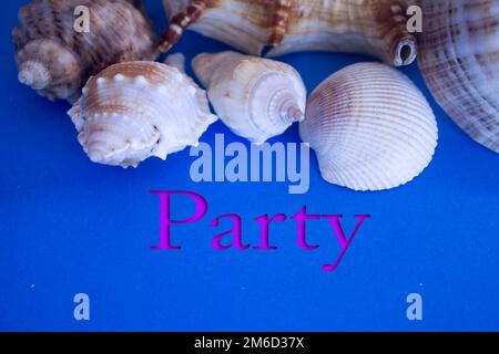 Animal Shell, Sommerurlaub, Meereshintergrund mit Party-Text. Stockfoto