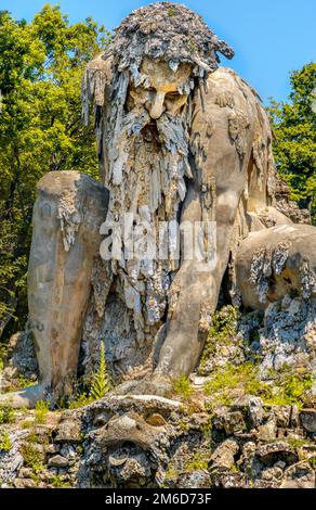 Starke alte bärtige Männerstatue Colossus riesige öffentliche Gärten von Demidoff Florenz Italien vertikal Stockfoto