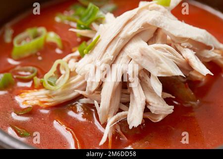 Scharfe Hühnersuppe mit Lauch und Pilzen Stockfoto