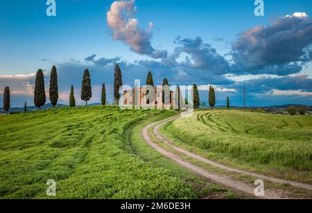 Malerische Aussicht auf die typisch toskanischen Landschaft, Italien Stockfoto