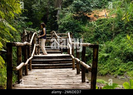 Junge modische Frau auf einem Bambus Brücke Stockfoto