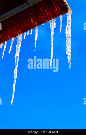 Viele große und scharfe Eiszapfen hängen auf dem Dach des Hauses. Stockfoto