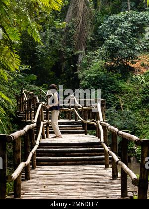 Junge modische Frau auf einem Bambus Brücke Stockfoto