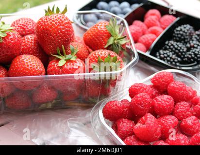 Frisches Obst in Plastikpackungen Stockfoto