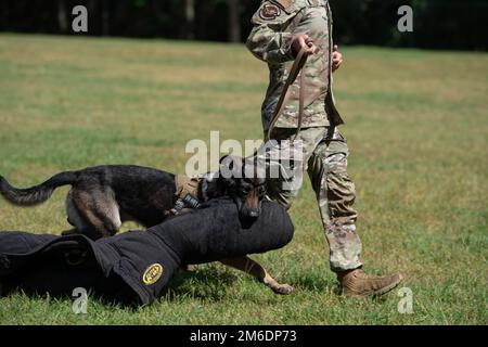 ICH Air Force Senior Airman Brady Sloup, 23. Sicherheitstrupp-Geschwader, arbeitet mit Hunden, geht MWD Oszkar nach einer K-9-Demonstration in St. John, die Evangelistische katholische Schule, Valdosta, Georgia, 25. April 2022. Um den Monat des Militärkindes hervorzuheben, den St. John Faculty veranstaltete die K-9-Demo, um die Wertschätzung für die Militärstudenten und ihre Klassenkameraden zu zeigen. Die Vorführung umfasste Bissanzug-Training und verbale Befehle, um das Hundetraining hervorzuheben. Stockfoto