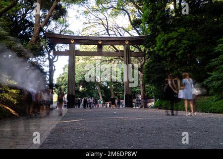 Menschen, die tagsüber durch den Meiji-Jingu-Schrein spazieren Stockfoto