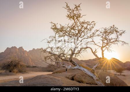 Die Pondoks in der Nähe des Spitzkope-Berges in Namibia in Afrika. Stockfoto