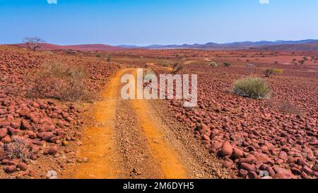 Malerischer Blick auf das Palmwag Konzessionsgebiet in Namibia. Stockfoto